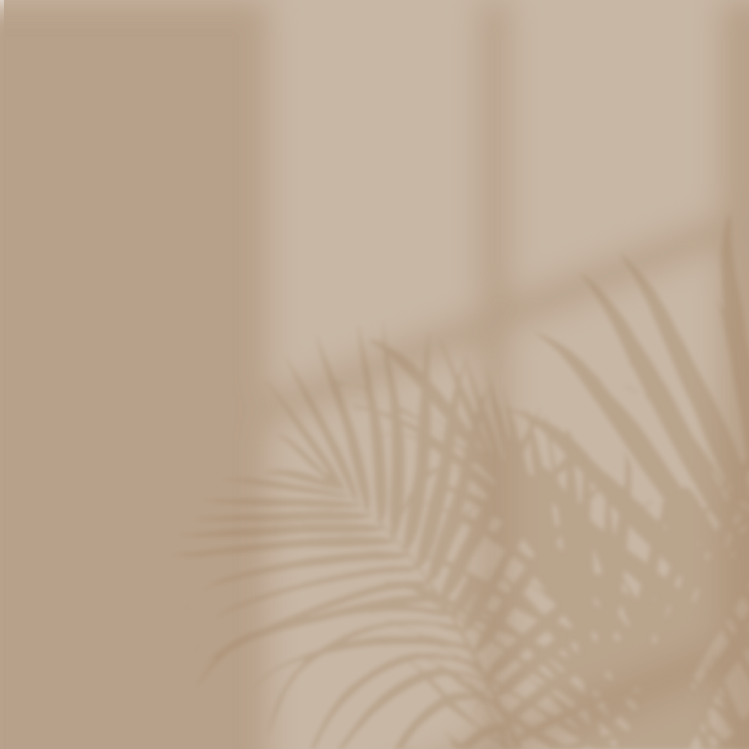 Shadows of Palm Leaves on Beige Wall